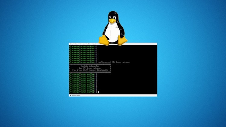 Linux Shell Script Yazma Eğitimi Görseli
